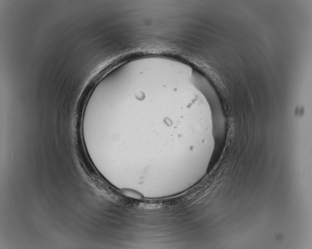 X0000096630440200803041107