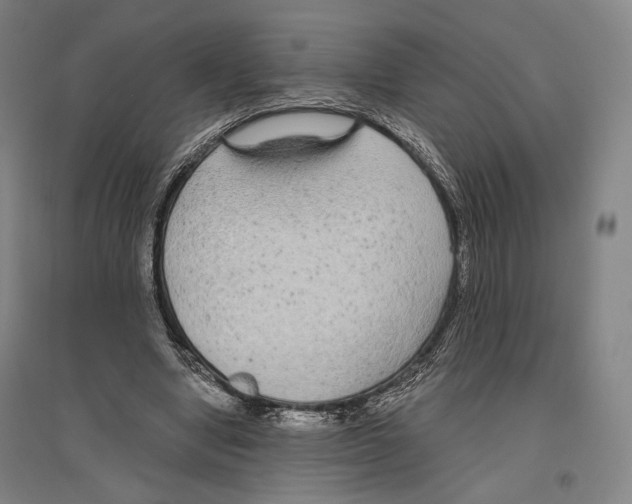 X0000096630442200803041107