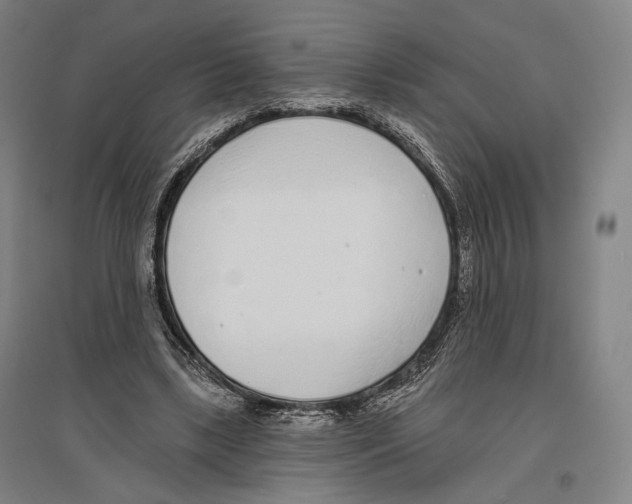 X0000096630443200803041107