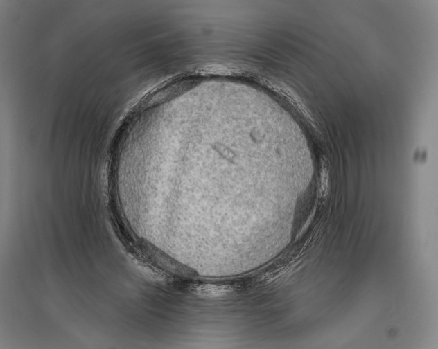 X0000096630444200803041107