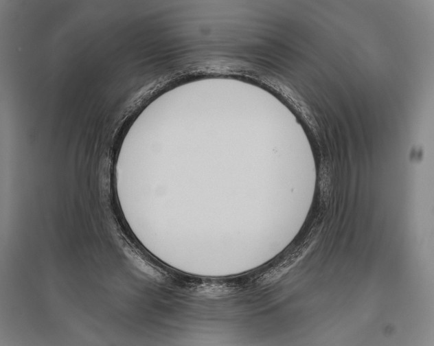 X0000096630445200803041107