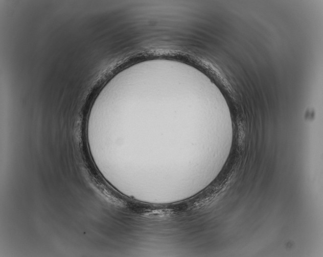 X0000096630447200803041107