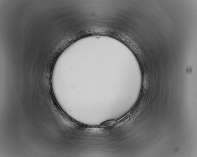 X0000096630449200803041107