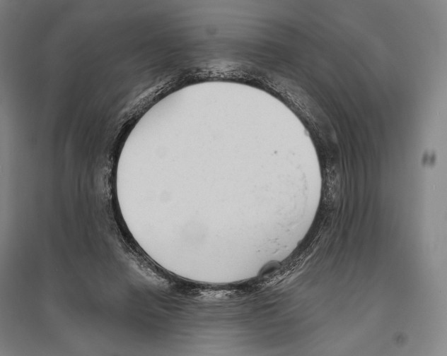 X0000096630450200803041107