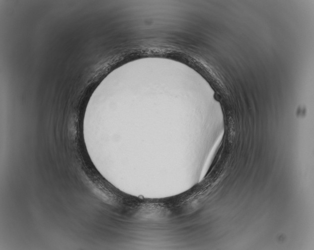X0000096630451200803041107