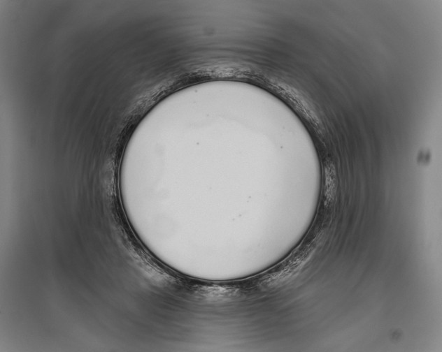 X0000096630453200803041107