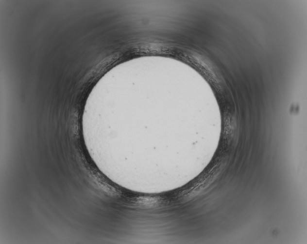 X0000096630457200803041108
