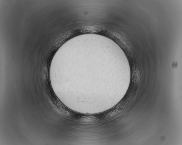 X0000096630459200803041108
