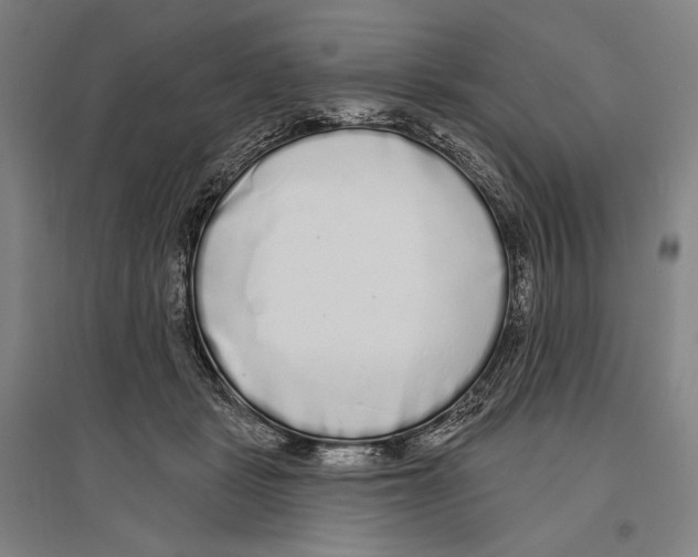 X0000096630461200803041108