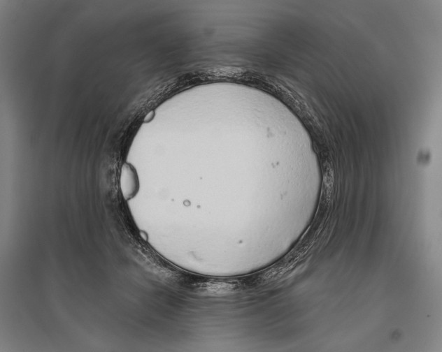 X0000096630462200803041108