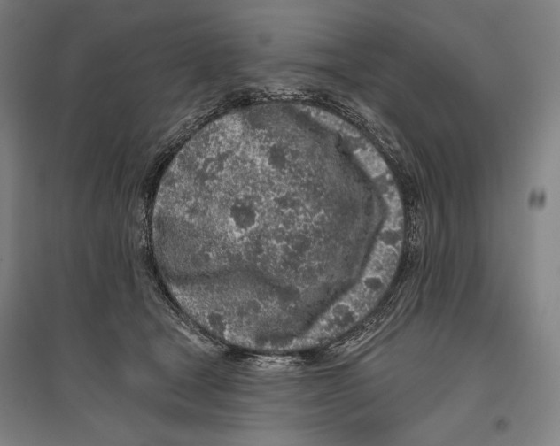 X0000096630465200803041108