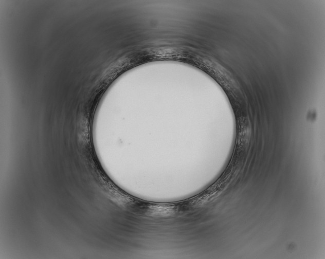 X0000096630469200803041108