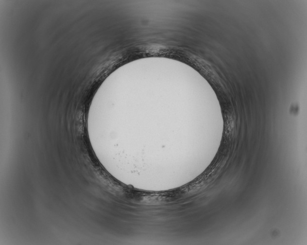 X0000096630470200803041108
