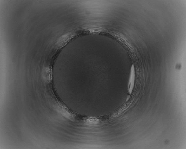 X0000096630471200803041108