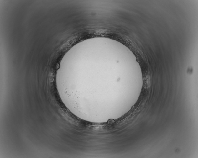 X0000096630472200803041108