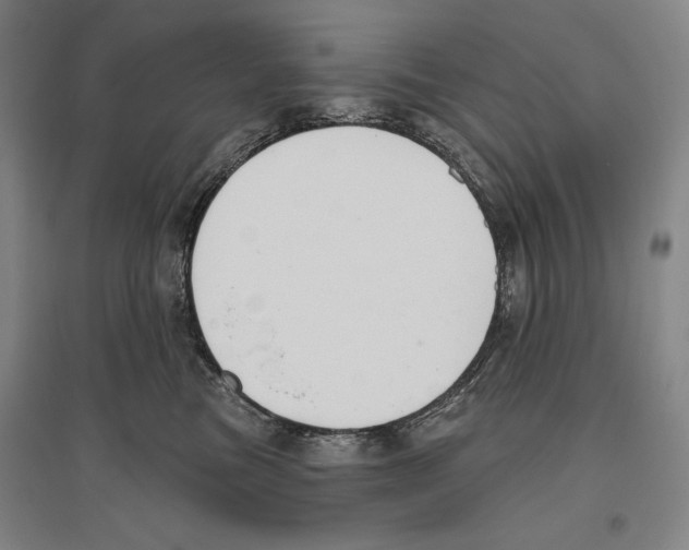 X0000096630473200803041108