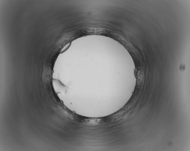X0000096630474200803041108