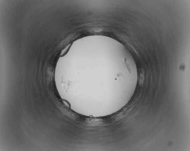 X0000096630476200803041108