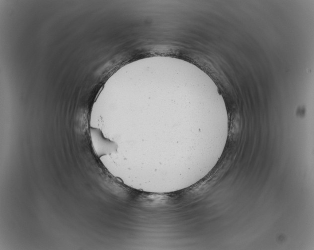 X0000096630478200803041108