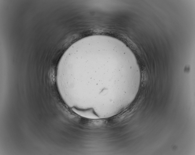 X0000096630479200803041108