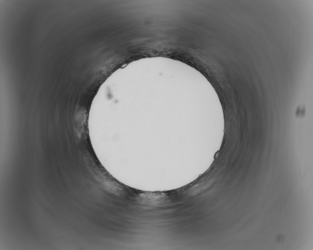 X0000096630480200803041108