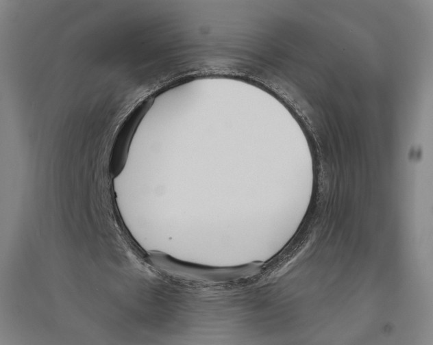 X0000096630481200803041107