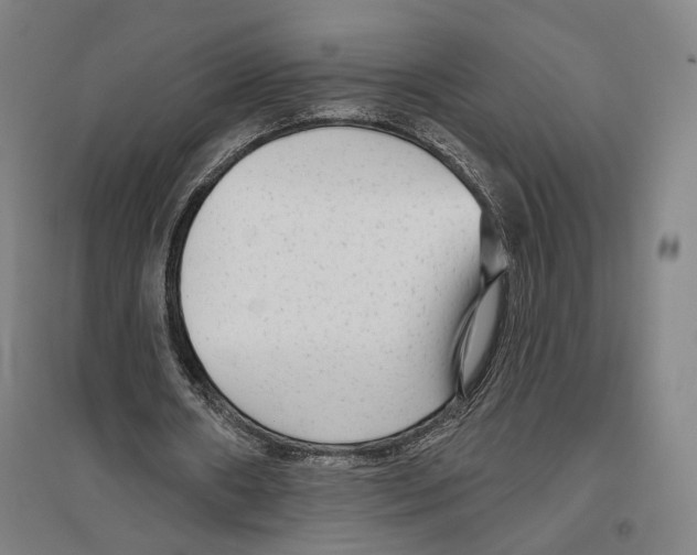 X0000096630482200803041107