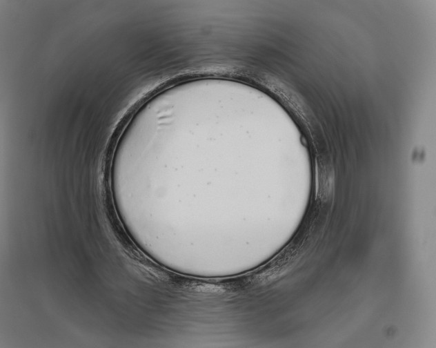 X0000096630483200803041107