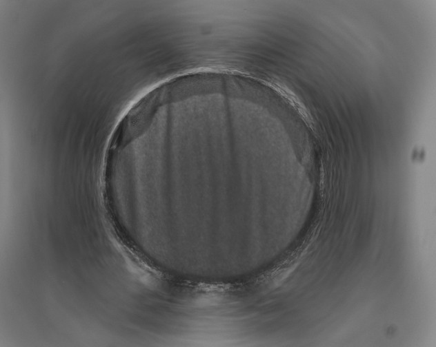 X0000096630484200803041107