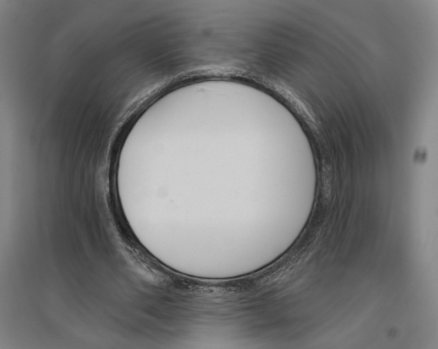 X0000096630486200803041107