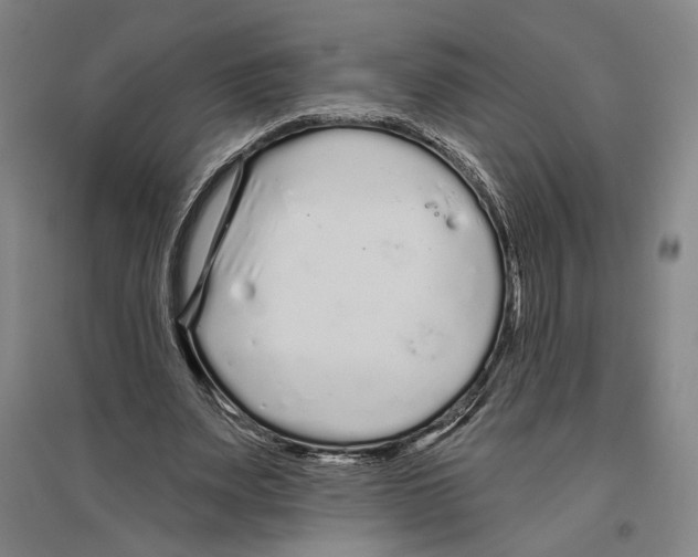 X0000096630487200803041107