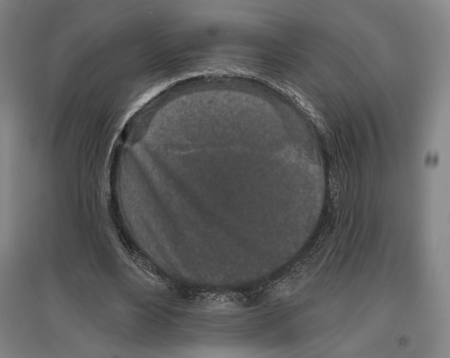 X0000096630488200803041107