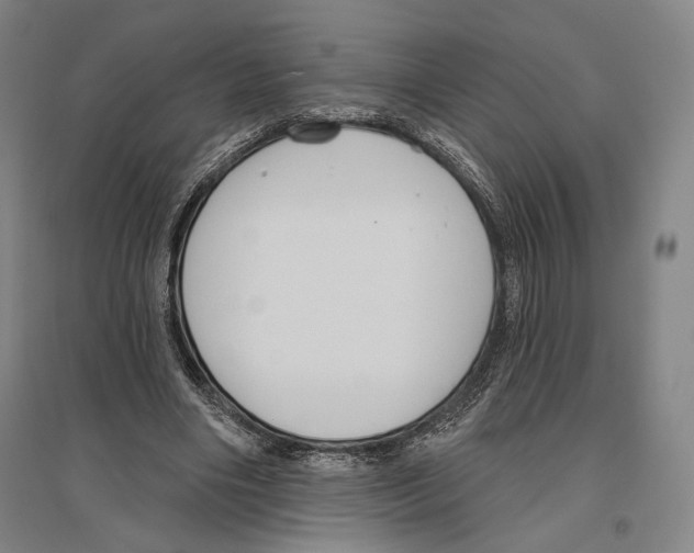 X0000096630490200803041107