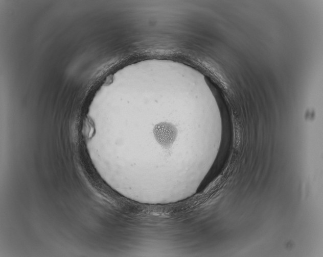X0000096630491200803041107