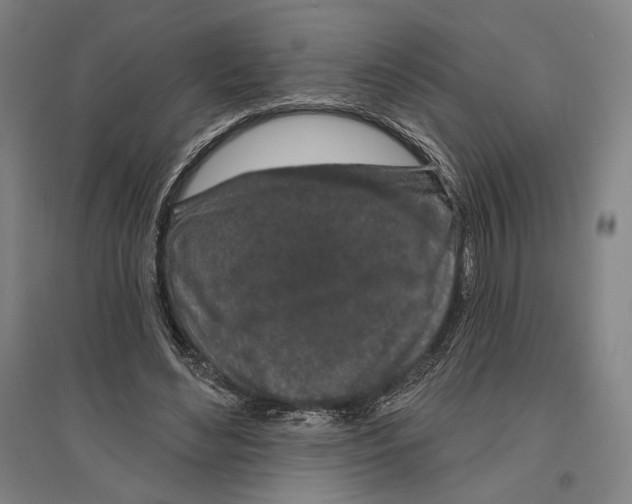 X0000096630492200803041107