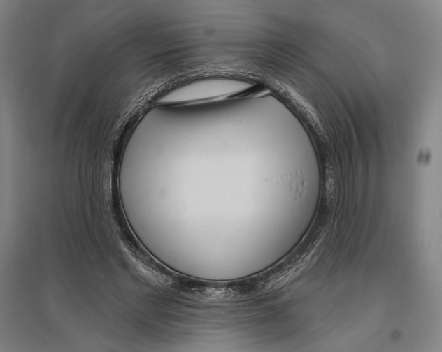 X0000096630493200803041107