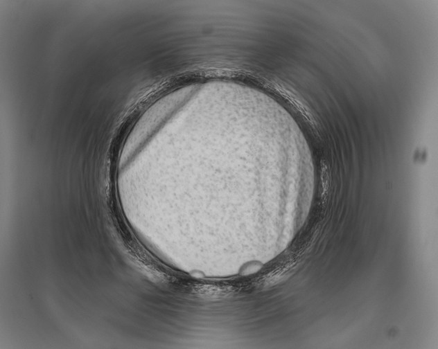 X0000096630494200803041107