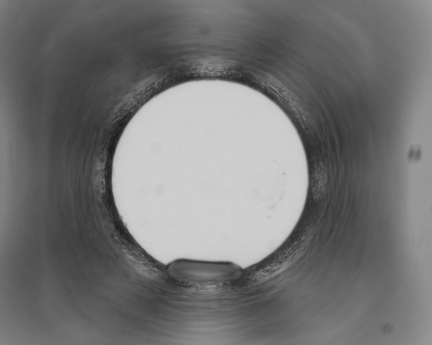 X0000096630497200803041107