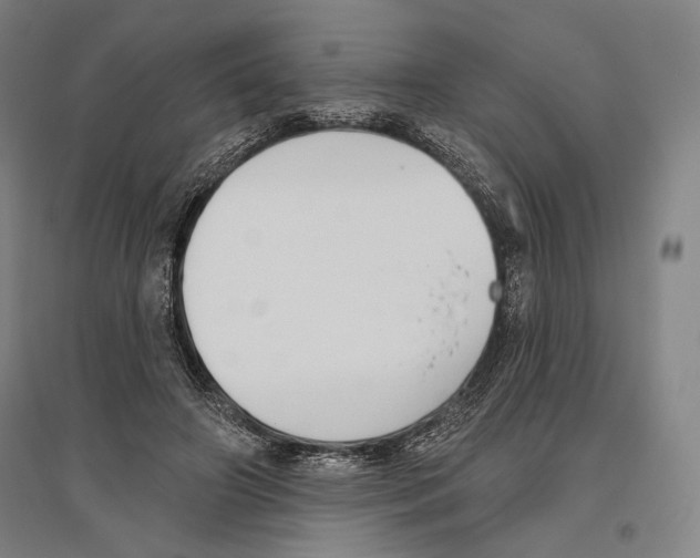 X0000096630498200803041107