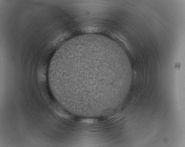 X0000096630499200803041107