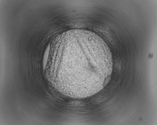 X0000096630503200803041107