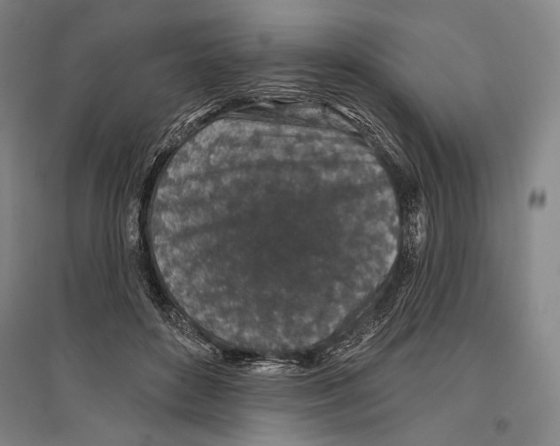 X0000096630504200803041107