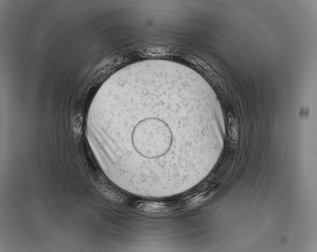 X0000096630507200803041107
