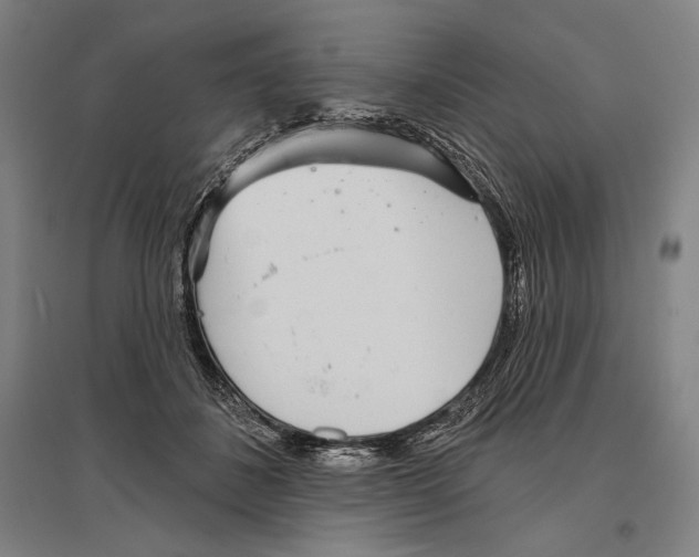 X0000096630508200803041107