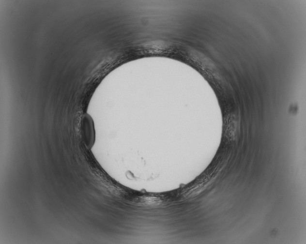 X0000096630509200803041107