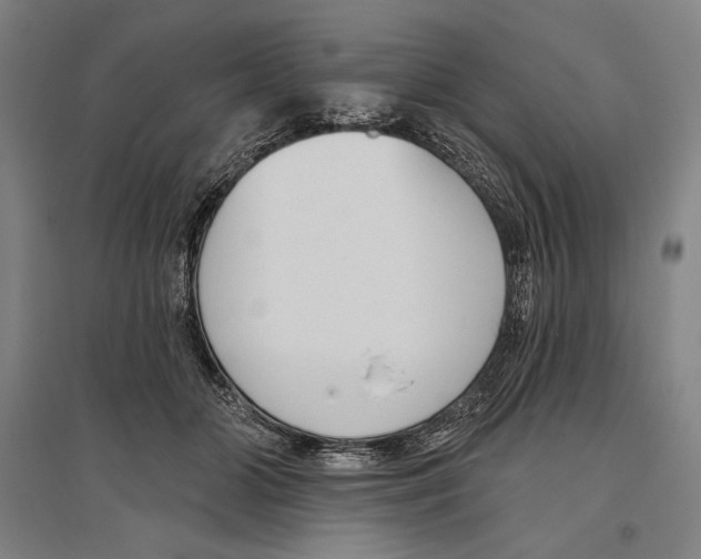 X0000096630510200803041107