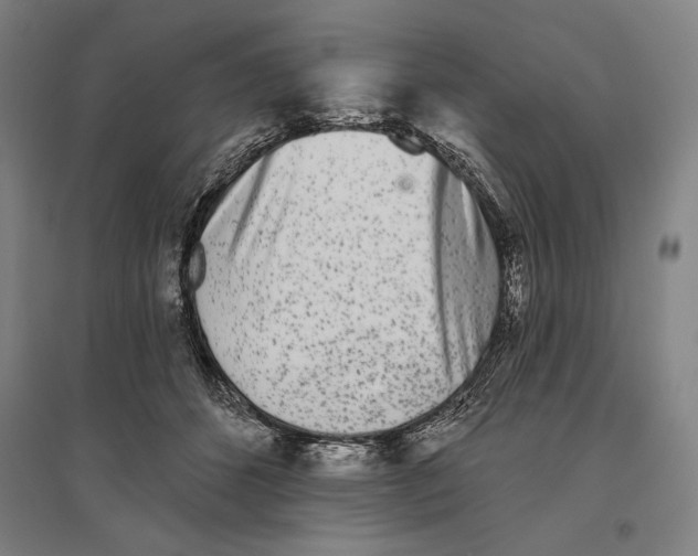 X0000096630512200803041107