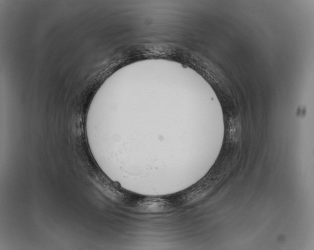 X0000096630514200803041107