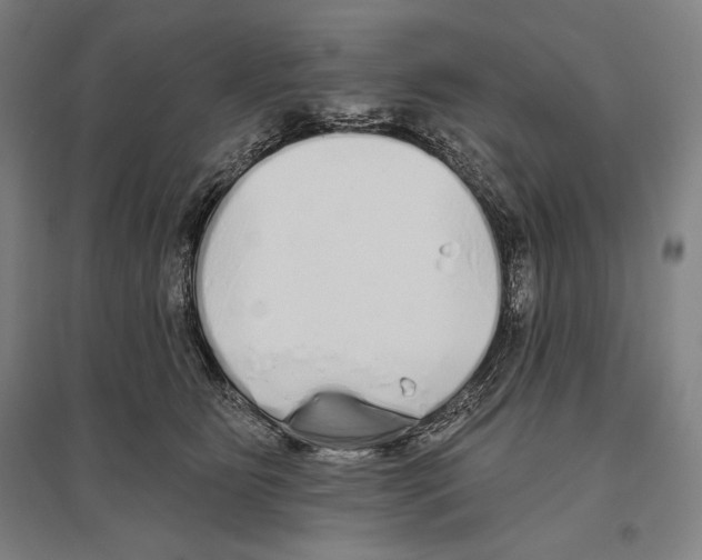 X0000096630515200803041107
