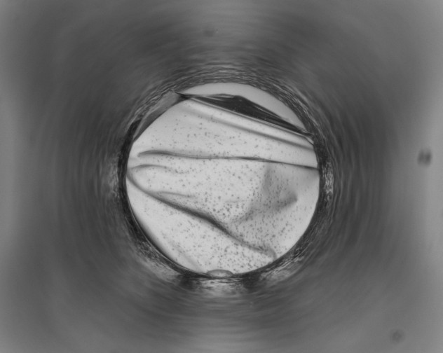 X0000096630516200803041107